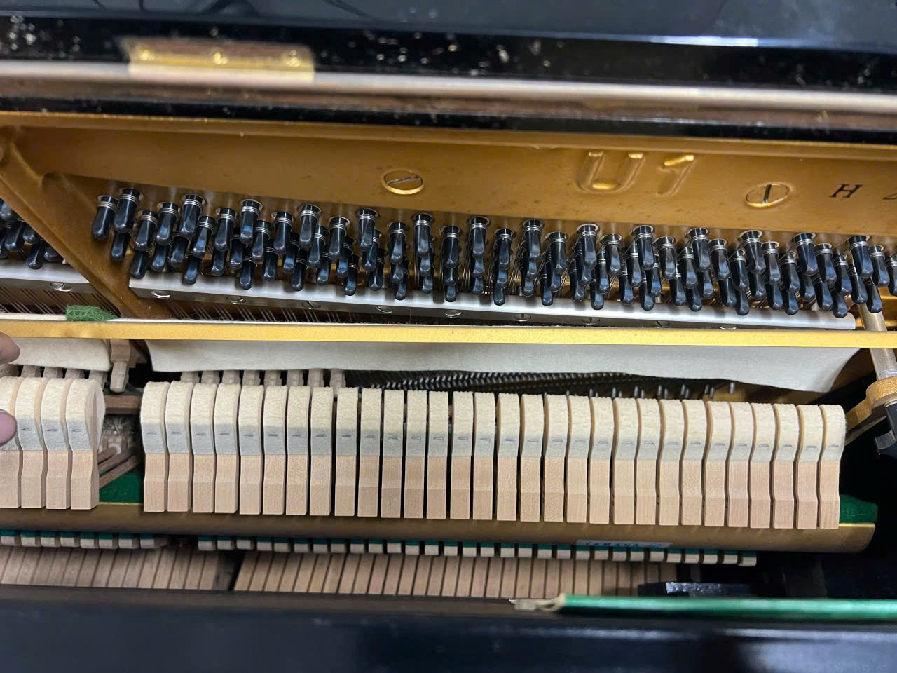 Yamaha U1H Series 2tr9 tem đồng