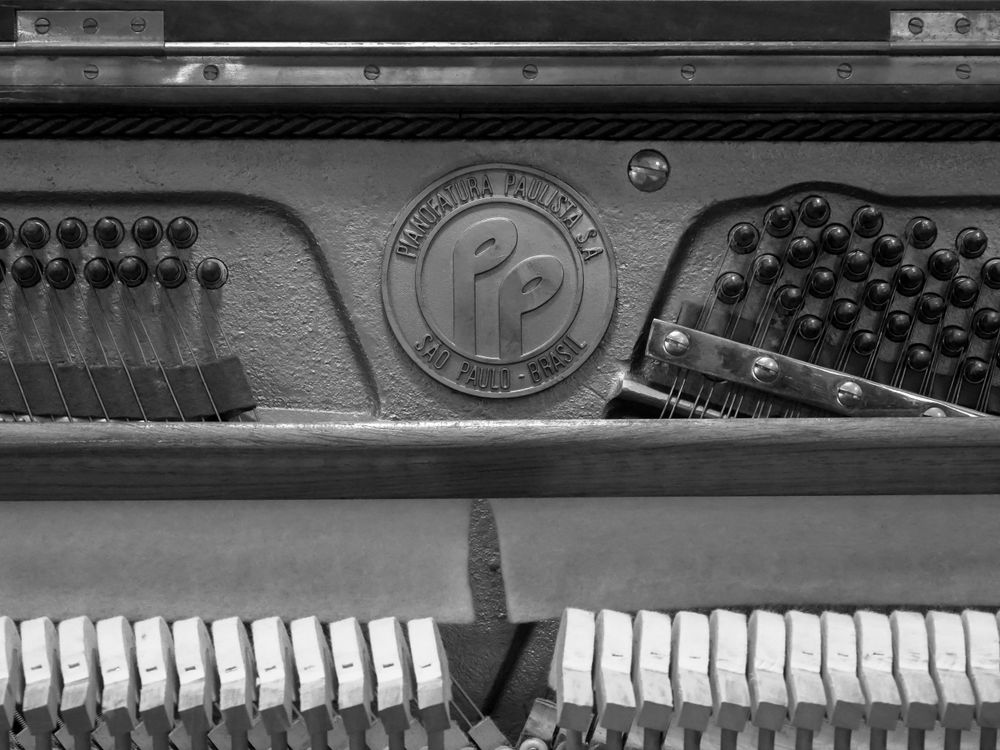 pexels-photo-32921118-2