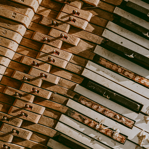 pexels-photo-9999447-2
